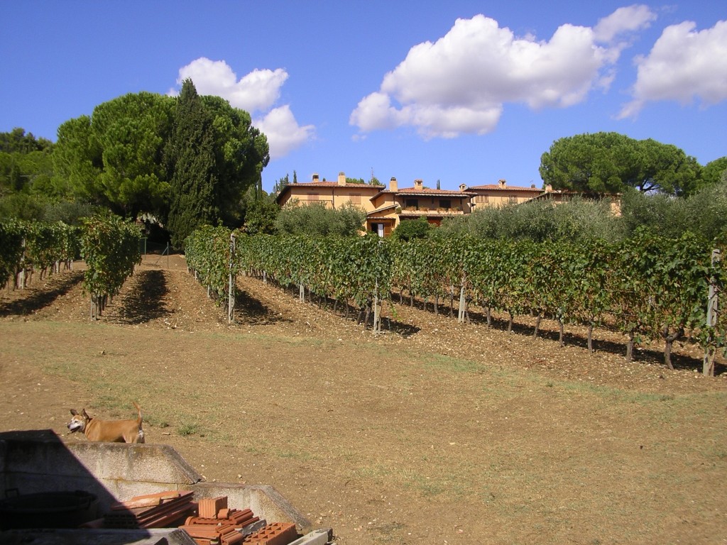 Villla e terreno