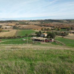 Foto Azienda